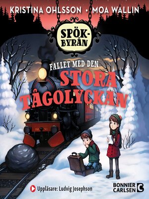 cover image of Fallet med den stora tågolyckan